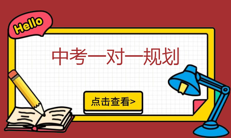 中考一对一辅导